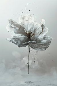 Minimalismus weiße fliegende Blume und hüpfenden Stoff