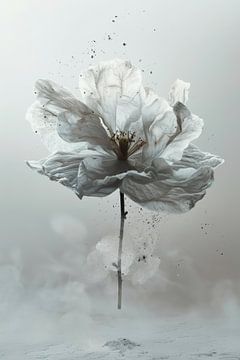 Minimalisme witte vliegende bloem en opspringend stof van Digitale Schilderijen