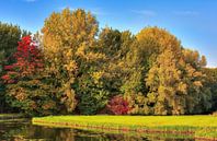 L'automne dans le Biesbosch par Artstudio1622 Aperçu