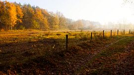 Paysage d'automne ensoleillé sur Sjoerd van Staveren