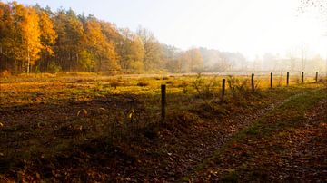 Sunny autumn landscape by Sjoerd van Staveren
