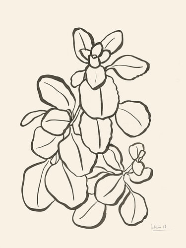 Biologische bladtekening