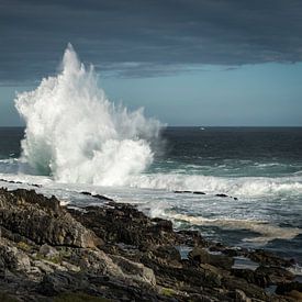 Golven beuken tegen de rotsen aan de rand van de zee in Tsitsikamma, Zuid-Afrika van Wolfgang Stollenwerk