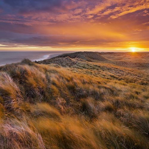 Sylt