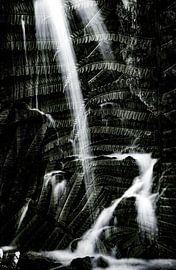 Boiling jungle by Truckpowerr