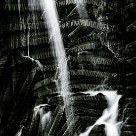 Boiling jungle by Truckpowerr