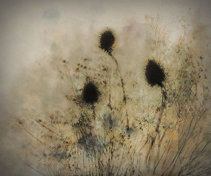 Seed boxes by Nel Talen