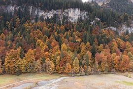 De magnifiques couleurs d'automne dans les montagnes suisses sur Menno Schaefer