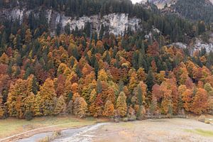 Wunderschöne Herbstfarben in den Bergen der Schweiz