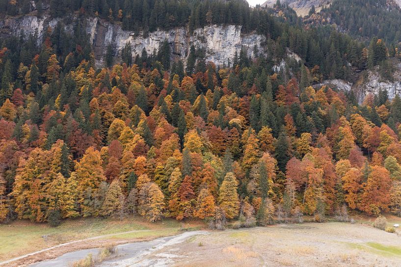Prachtige herfst kleuren in de bergen van Zwitserland van Menno Schaefer