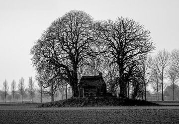 Nostalgia Dordrecht by Frank Lavooij