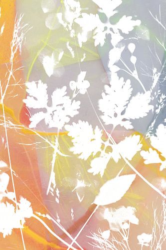 Cyanotypie kombiniert mit einem Hintergrund aus farbigem Kunststoff