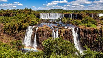 Die Iguazu Wasserfälle zwischen Argentinien und Brasilien