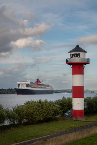 A majestic encounter on the banks of the Elbe