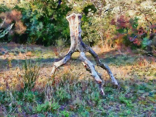 Het Olijfboommonster