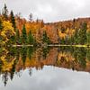 Un lac aux couleurs de l'automne sur Cor de Bruijn Photography