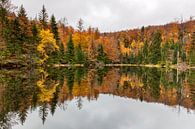 A lake with autumn colours by Cor de Bruijn thumbnail