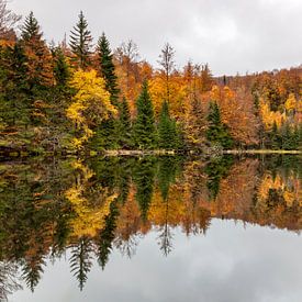 Een meer met herfstkleuren van Cor de Bruijn