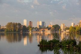 Lac Kranlinge sur Prachtig Rotterdam