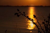 Sunset on the dike to Marken