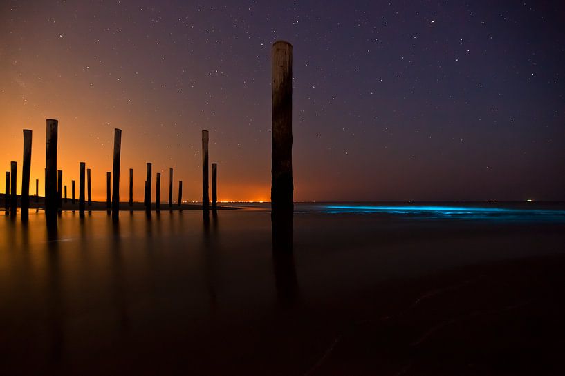 Noctiluca Scintillans in Petten by Titus van 't Veer