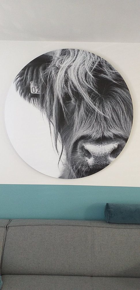 Portret Schotse Hooglander zwart-wit  van Sandra van Kampen 