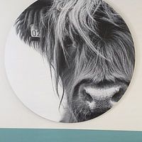 Klantfoto: Portret Schotse Hooglander zwart-wit van Sandra van Kampen, als ronde print