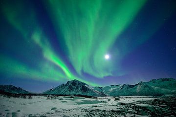 Noorderlicht Aurora Borealis in de nacht boven Noord-Noorwegen van Sjoerd van der Wal Fotografie