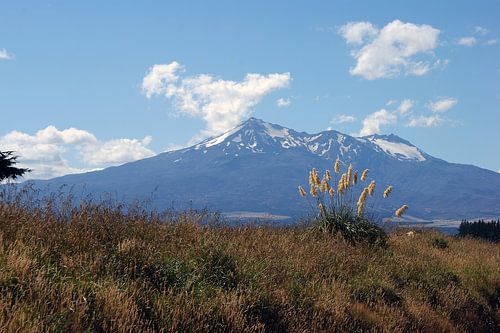 Tongariro