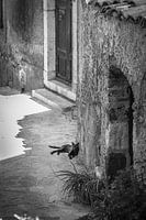 Taormina (Siciliaans: Taurmina)  Sicilië Italië. slapende kat fotoposter of  wanddecoratie