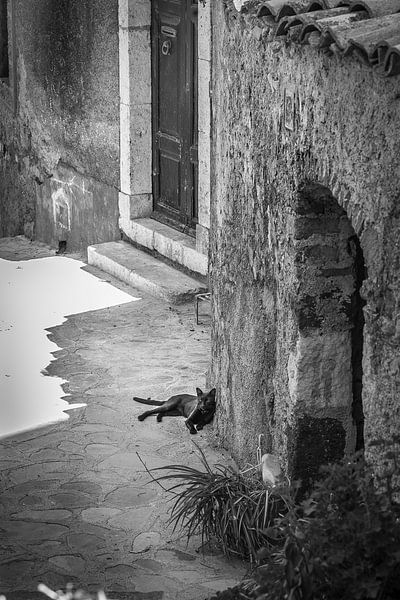 Taormina (Sicilian: Taurmina) Sicily Italy. sleeping cat photo poster or wall decoration by Edwin Hunter
