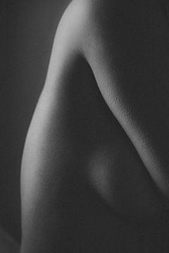 curves by martina westerman