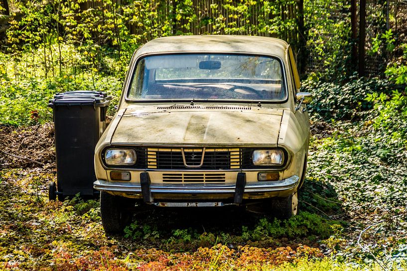 Dacia 1300 Oldtimer de l'ancienne RDA par Animaflora PicsStock