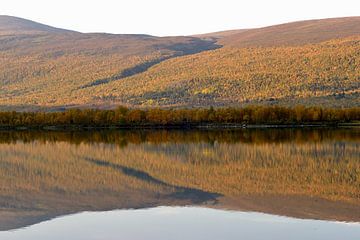 Vistasvaggi, Lappland von Nick Wendt