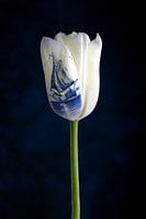 Made in Holland; witte tulp en Delfts blauw