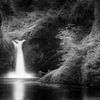 Anmutiger Wald mit Wasserfall in Oregon USA. Schwarzweiß Bild. von Manfred Voss, Schwarz-weiss Fotografie