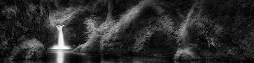 Sierlijk bos met waterval in Oregon USA. Zwart-wit beeld.