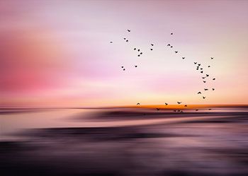 Colors of the North 1