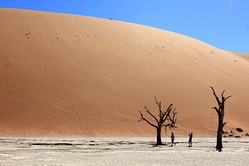 Deadvlei, Namibië van stefan van hulten