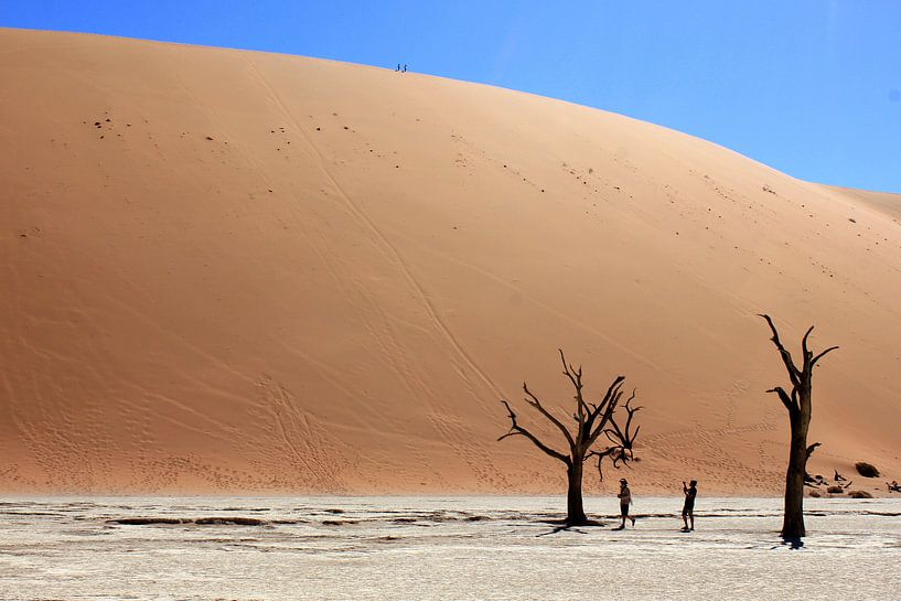Deadvlei, Namibië by stefan van hulten