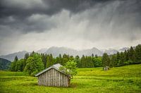 Meadow in Bavaria