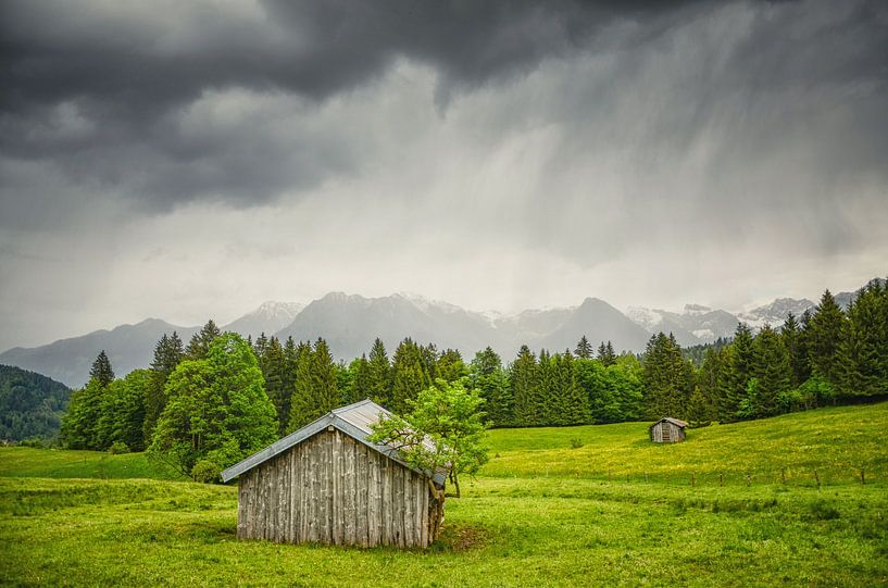Meadow in Bavaria by Angelica van den Berg