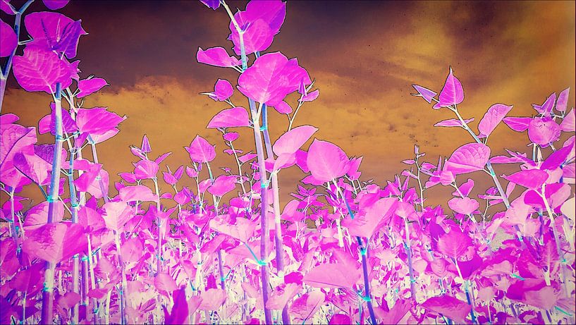 Violett landscape  by Jenny Heß