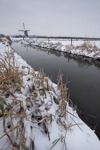 Molen De Marsch von Moetwil en van Dijk - Fotografie