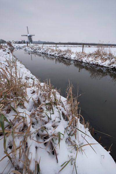 Molen De Marsch by Moetwil en van Dijk - Fotografie