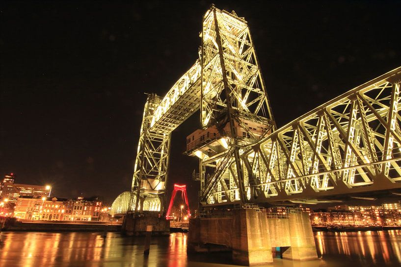 &quot;Nocturnal North Island. by Capture the Moment 010