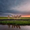 Oerhollandse Koeien van Jolanda de Leeuw