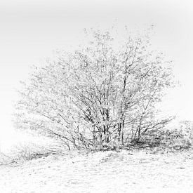 Herfst op het zand III van Marc Arts