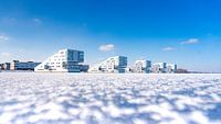 Sphinx houses on ice