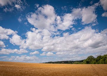 Abondance sur Boogartphotographics